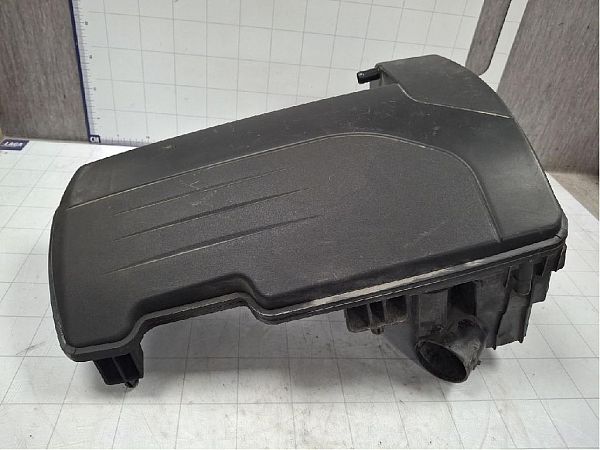 Luftfilter RENAULT CLIO III (BR0/1, CR0/1)