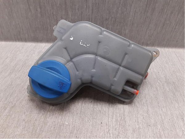 Bouchon du vase d'expansion du liquide de refroidissement