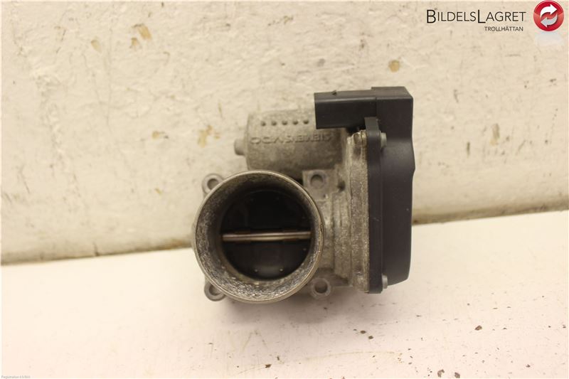 Throttle body SKODA FABIA II (542)