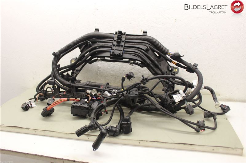 arbre de câblage complet BMW X5 (F15, F85)