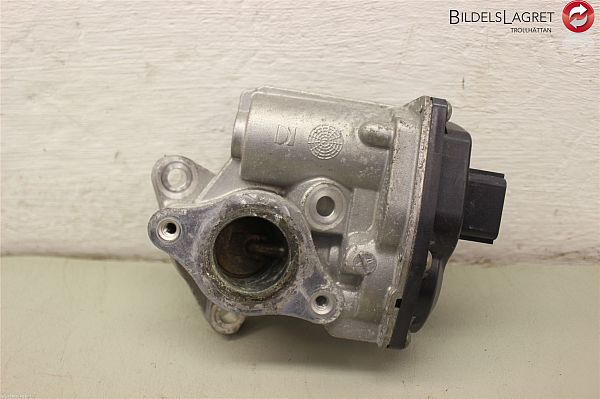 Egr ventil RENAULT KANGOO Express (FW0/1_)