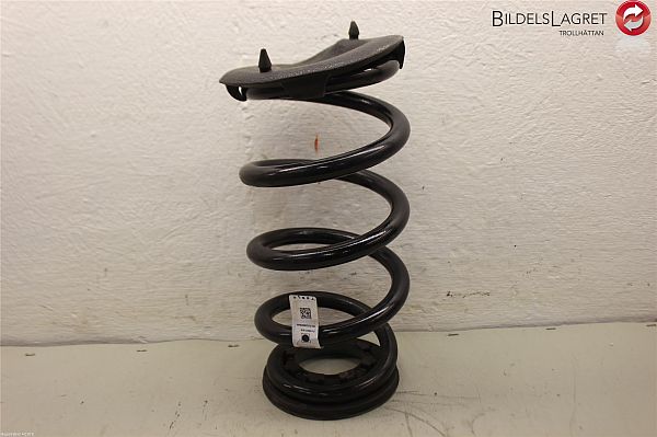 Rear spring - coil TESLA MODEL Y (5YJY)