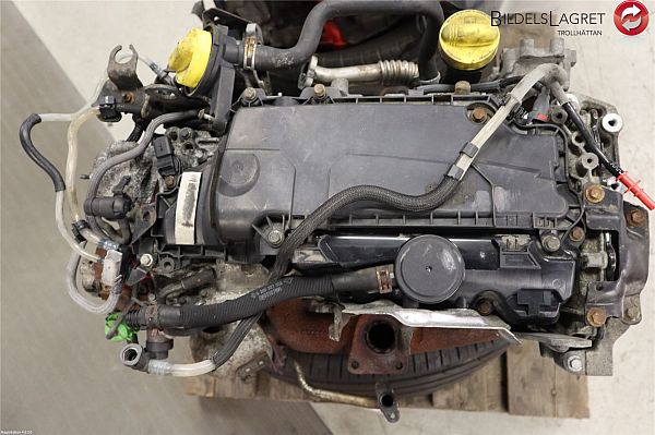 Motor