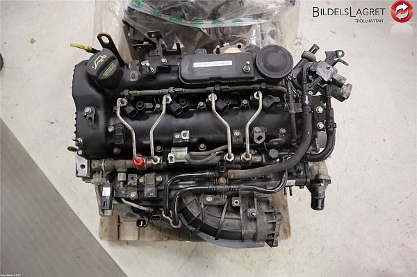 Moteur KIA SPORTAGE (SL)