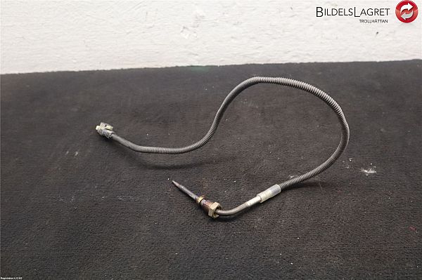 Exhaust gas temperature sensor