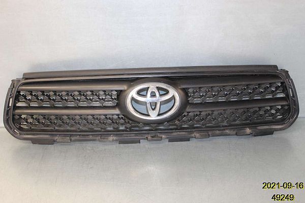 Grill TOYOTA RAV 4 III (_A3_)