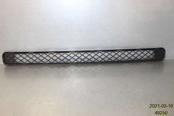 Grill TOYOTA RAV 4 III (_A3_)