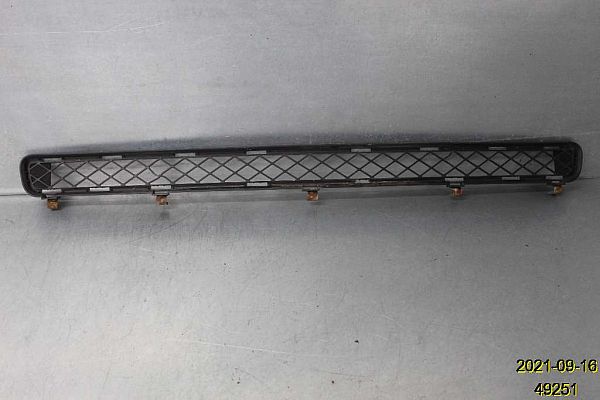 Grill TOYOTA RAV 4 III (_A3_)