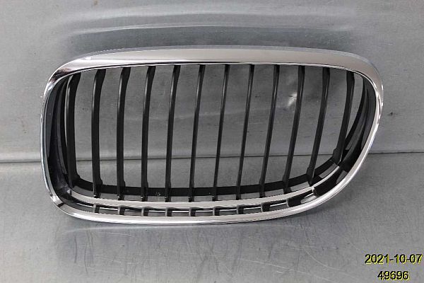 Kølergitter BMW 3 (E90)