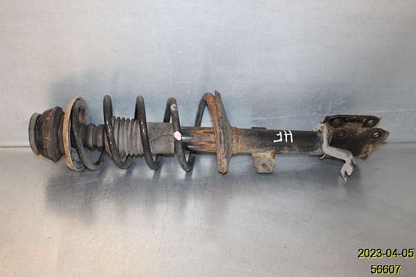 Veerpoot voor DACIA DUSTER (HS_)