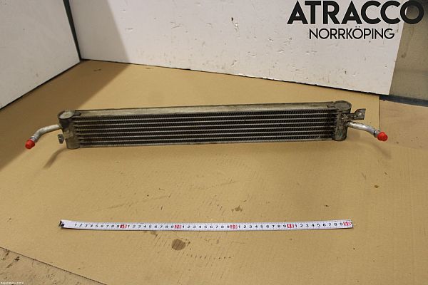 Oil radiator LAND ROVER DISCOVERY Mk II (L318)