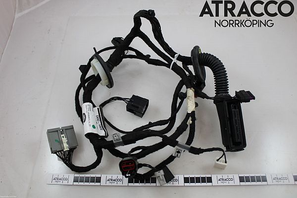Wire network - complete LAND ROVER RANGE ROVER SPORT (L494)