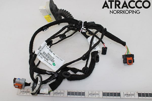 Wire network - complete TOYOTA PROACE VERSO (MPY_)