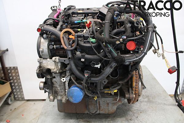 Motor CITROËN BERLINGO / BERLINGO FIRST Box (M_)