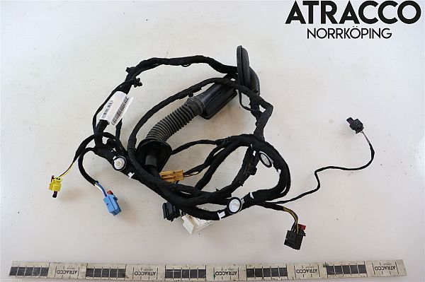 Ledningsnet - komplet AUDI E-TRON (GEN_)