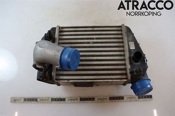 Heating element AUDI A4 (8E2, B6)
