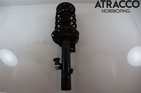 Federbein vorn LAND ROVER FREELANDER 2 (L359)