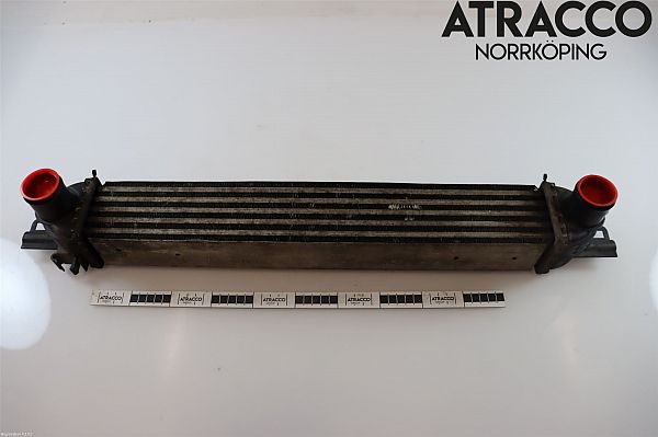 Heating element PEUGEOT BIPPER (AA_)