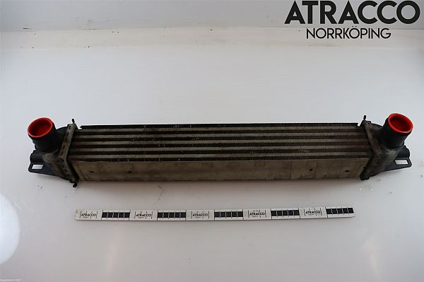 Heating element PEUGEOT BIPPER (AA_)