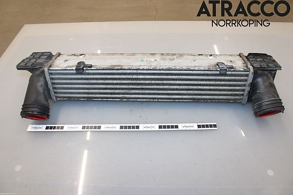 Luchtkoeling bagage BMW 1 (E81)