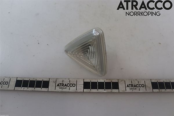 Blinklygte for RENAULT KANGOO Express (FW0/1_)