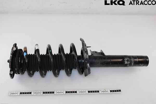 Federbein vorn LAND ROVER DISCOVERY SPORT (L550)