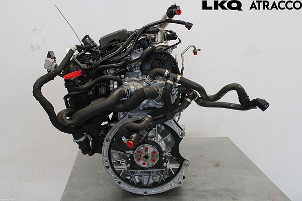 Motor