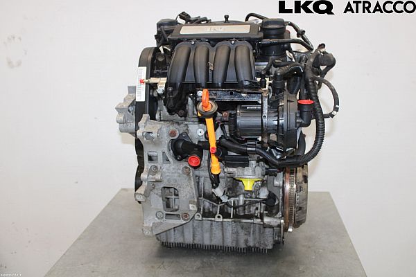 Motor SKODA OCTAVIA II Combi (1Z5)