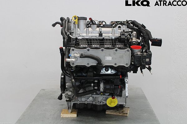 Motor