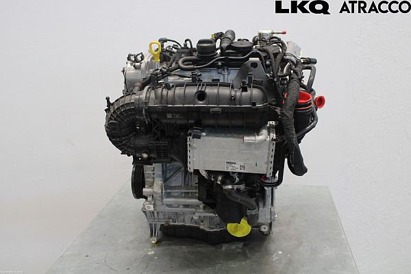 Motor