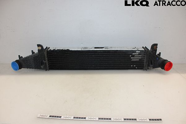 Luchtkoeling bagage CHRYSLER 300 C (LX, LE)