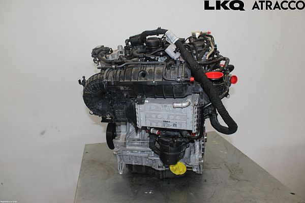 Motor