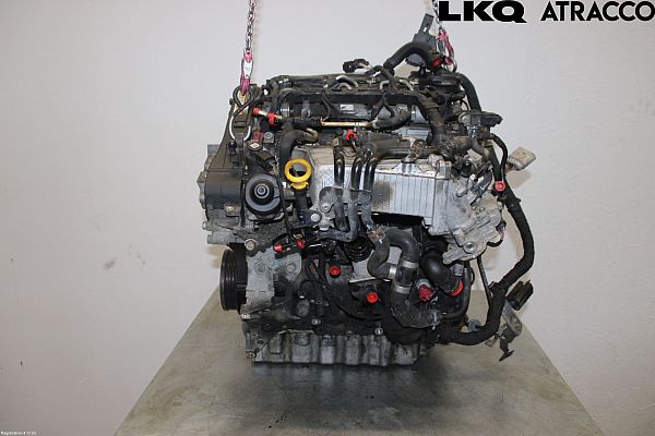 DFGA Motoren aus Autoverwertung – Motorcode DFGA - Autoparts24