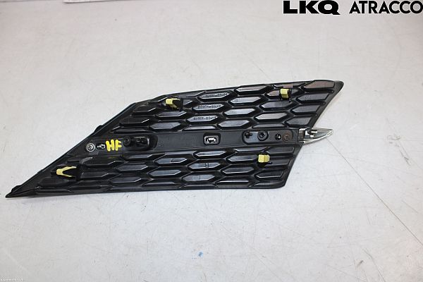 Grill TOYOTA RAV 4 IV (_A4_)
