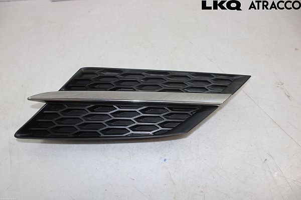 Grill TOYOTA RAV 4 IV (_A4_)
