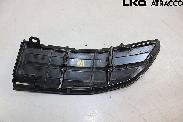 Grill TOYOTA RAV 4 IV (_A4_)