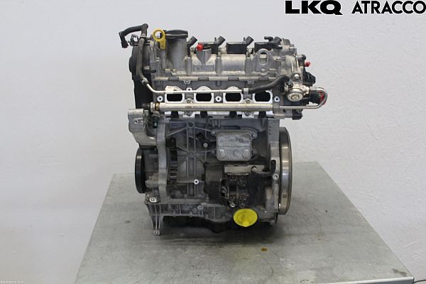 Motor