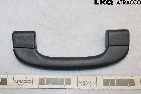 Roof grab handles