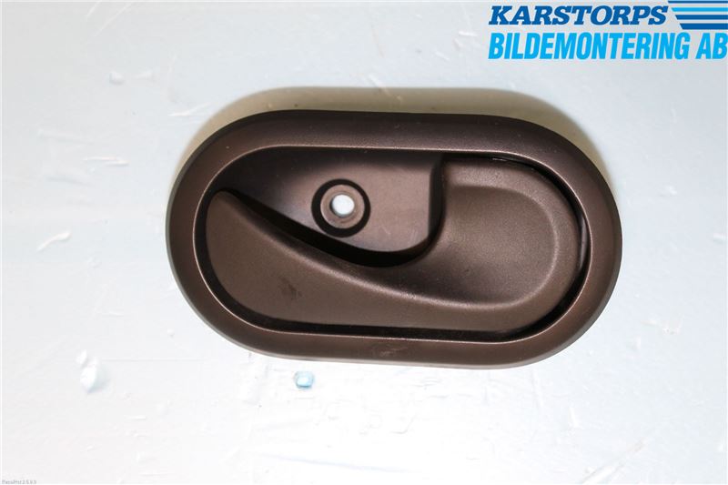 Handgriff innen DACIA SANDERO (BS_)
