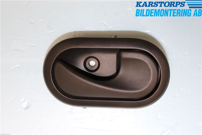 Handgriff innen DACIA SANDERO (BS_)