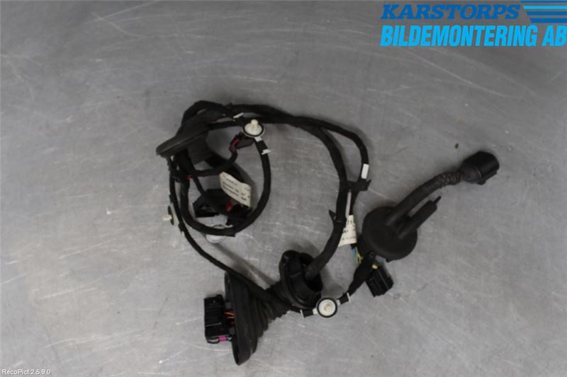 Rear door wiring loom