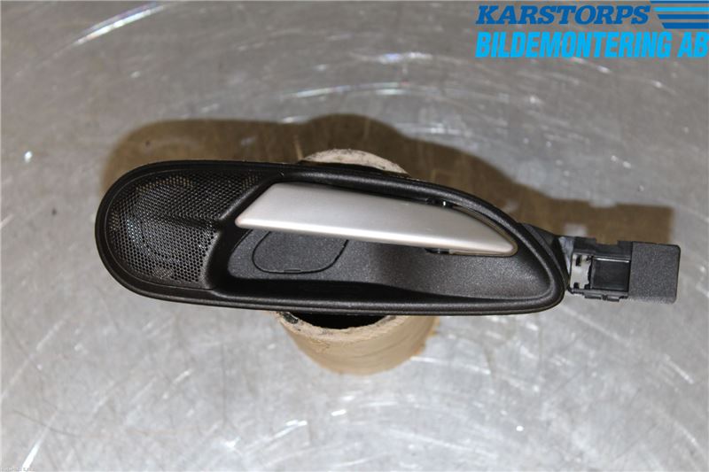 Handgriff innen FIAT PUNTO EVO (199_)