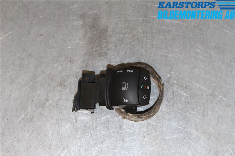 Diverse Schalter RENAULT GRAND SCÉNIC III (JZ0/1_)
