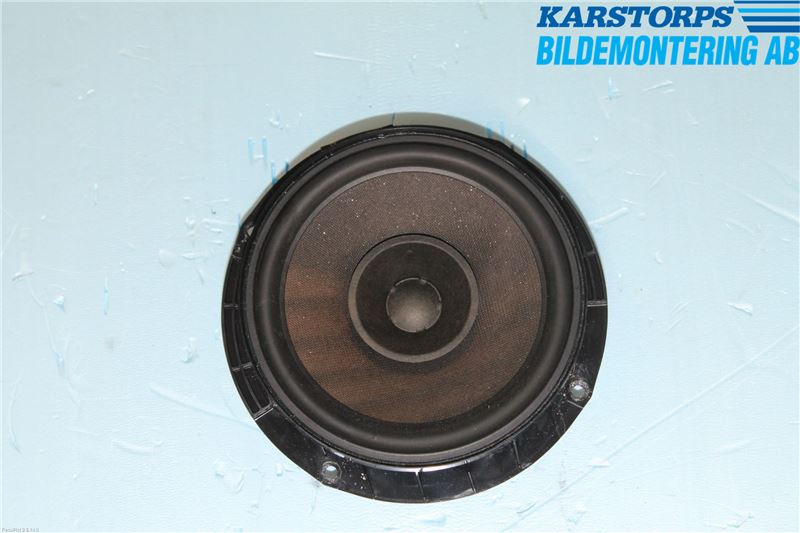 Rear door speaker