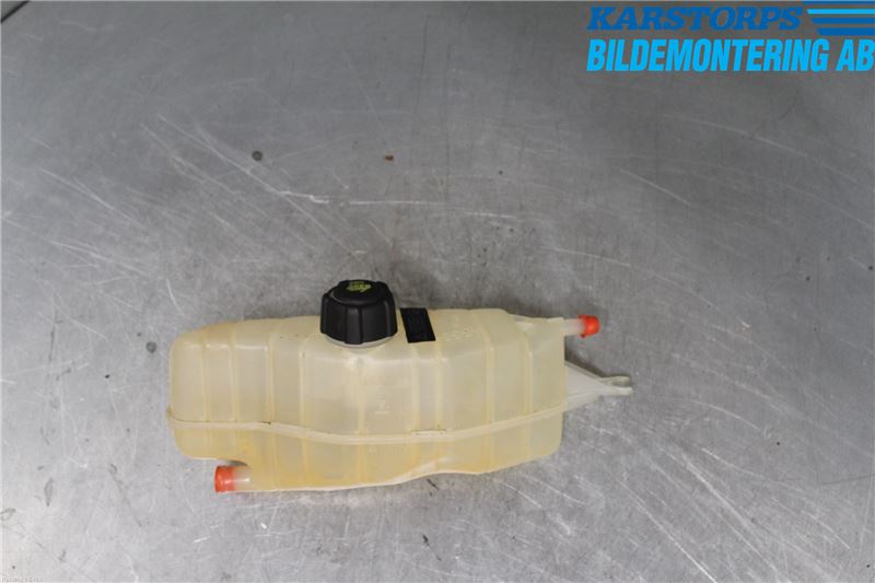 Expansions container RENAULT CLIO III (BR0/1, CR0/1)