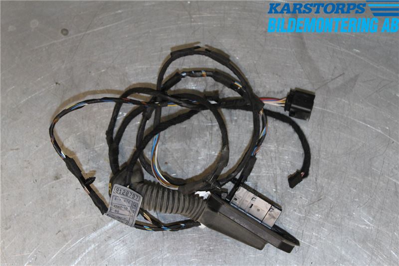 Rear door wiring loom