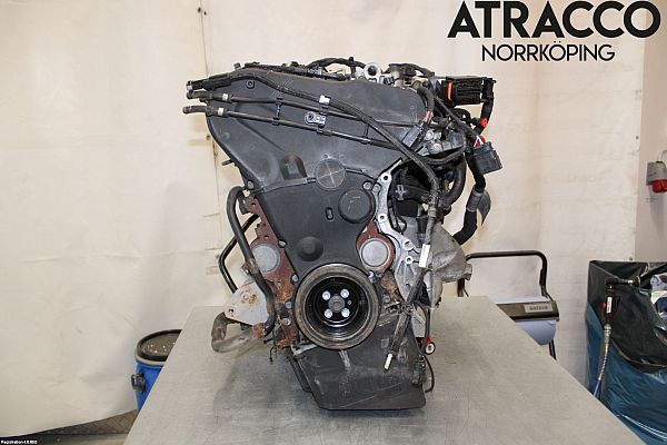 Engine AUDI A4 Avant (8W5, 8WD, B9)