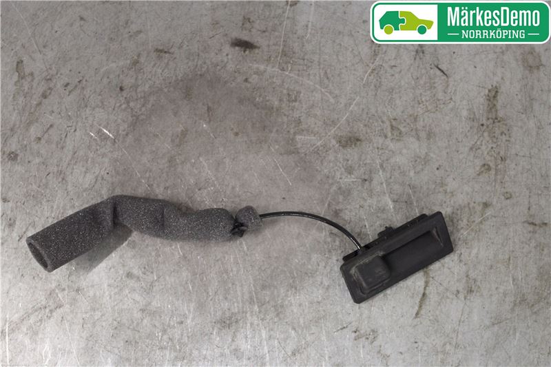 Tailgate handle with camera