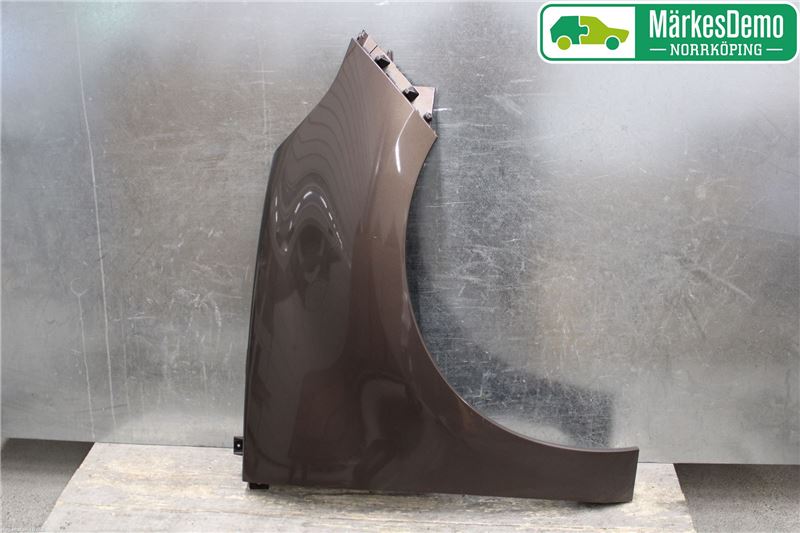 Front wing right RENAULT SCÉNIC III (JZ0/1_)