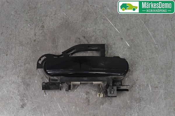 Håndtag udvending AUDI A6 Avant (4F5, C6)